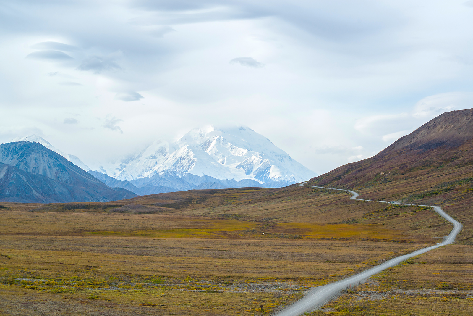 Denali mountain landscape