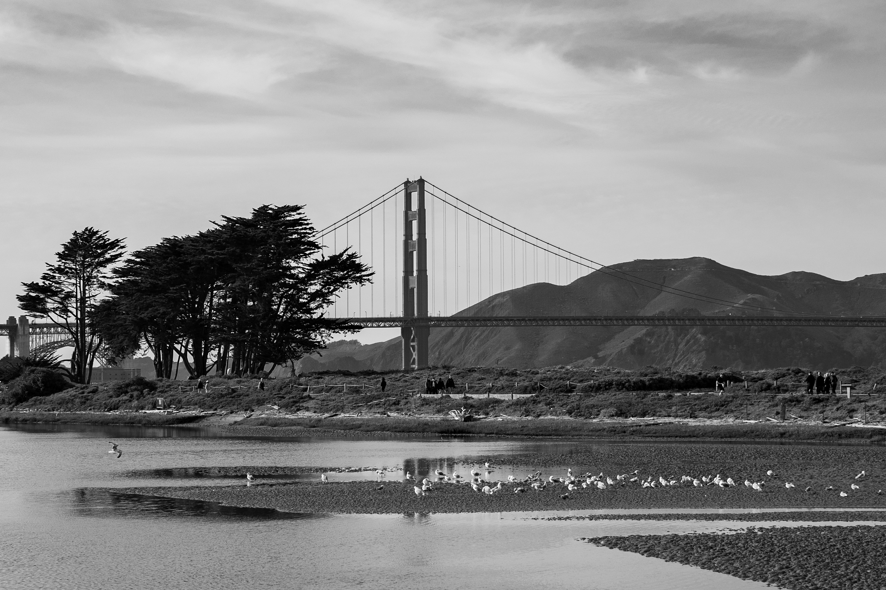 Golden Gate Bridge black and white panorama